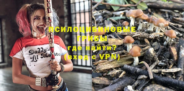 соль курить ск Нязепетровск