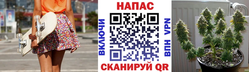 Марихуана гибрид дарнет шоп Симферополь